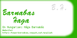 barnabas haga business card