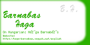 barnabas haga business card